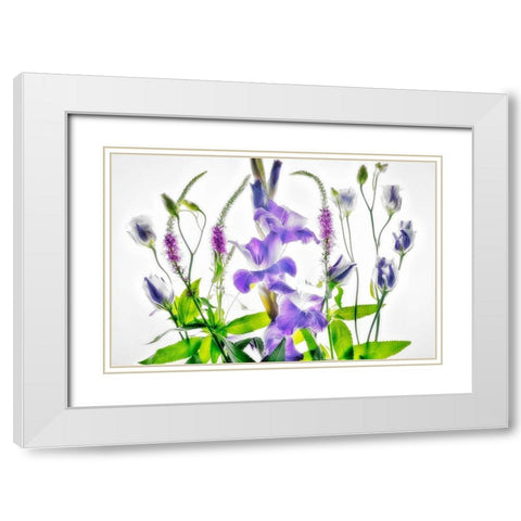 Botanical II White Modern Wood Framed Art Print with Double Matting by Frates, Dennis
