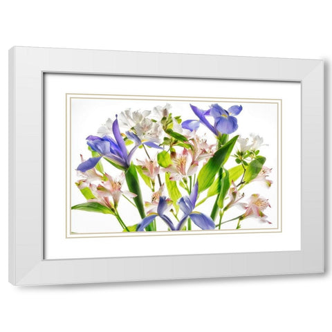 Botanical I White Modern Wood Framed Art Print with Double Matting by Frates, Dennis