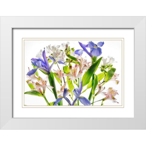 Botanical I White Modern Wood Framed Art Print with Double Matting by Frates, Dennis