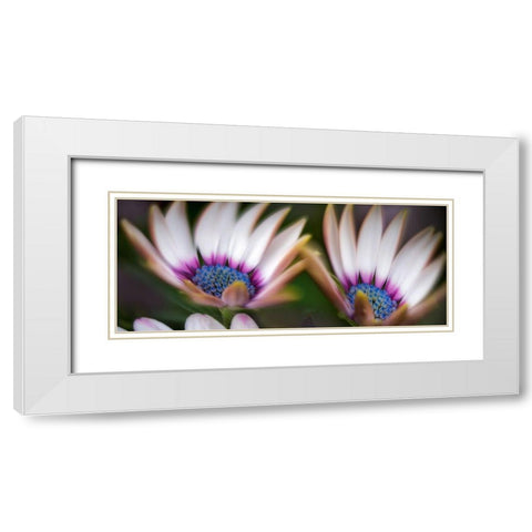 A Pair White Modern Wood Framed Art Print with Double Matting by Frates, Dennis