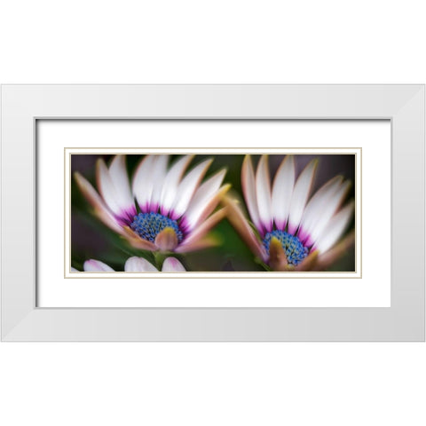 A Pair White Modern Wood Framed Art Print with Double Matting by Frates, Dennis