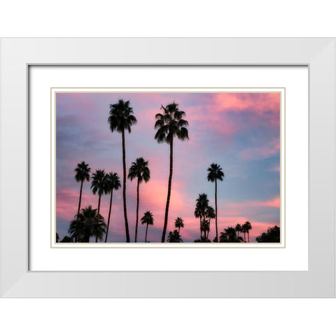 Palm Sunset White Modern Wood Framed Art Print with Double Matting by Frates, Dennis