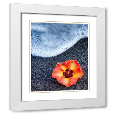 Beach Floral White Modern Wood Framed Art Print with Double Matting by Frates, Dennis