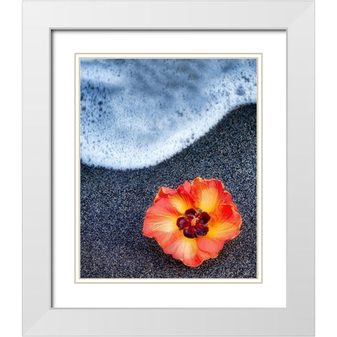 Beach Floral White Modern Wood Framed Art Print with Double Matting by Frates, Dennis