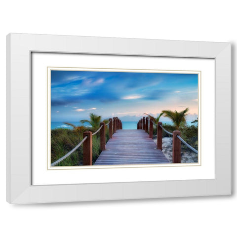 Paradise Path White Modern Wood Framed Art Print with Double Matting by Frates, Dennis