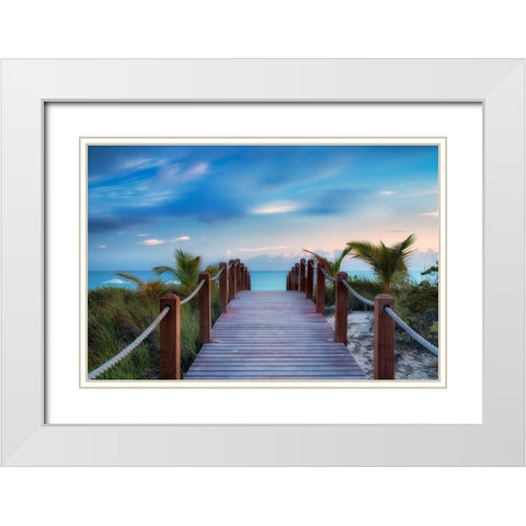 Paradise Path White Modern Wood Framed Art Print with Double Matting by Frates, Dennis
