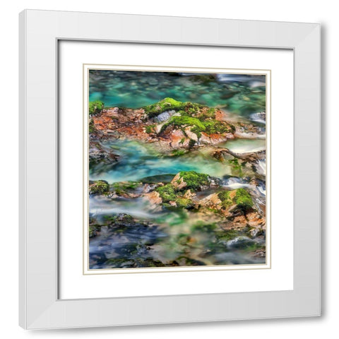 Mossy Rocks White Modern Wood Framed Art Print with Double Matting by Frates, Dennis