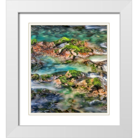 Mossy Rocks White Modern Wood Framed Art Print with Double Matting by Frates, Dennis