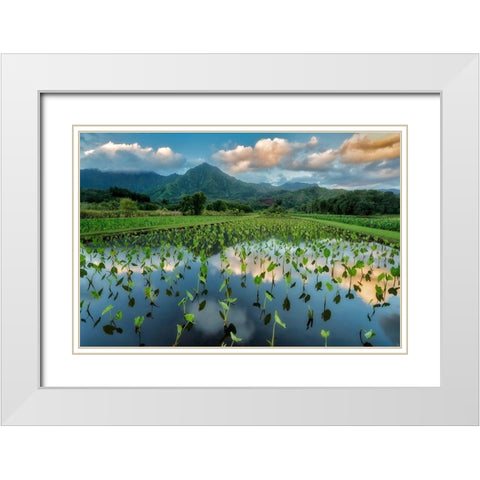 Emerald Landscape White Modern Wood Framed Art Print with Double Matting by Frates, Dennis
