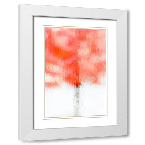 Coral Window II White Modern Wood Framed Art Print with Double Matting by Frates, Dennis