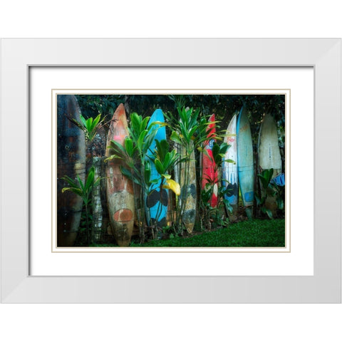 Line Up White Modern Wood Framed Art Print with Double Matting by Frates, Dennis