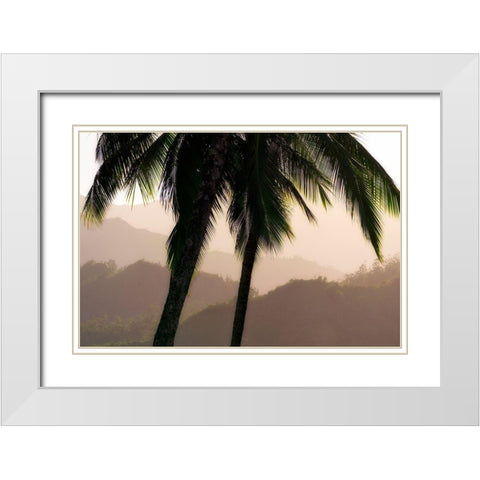 Misty Palms White Modern Wood Framed Art Print with Double Matting by Frates, Dennis