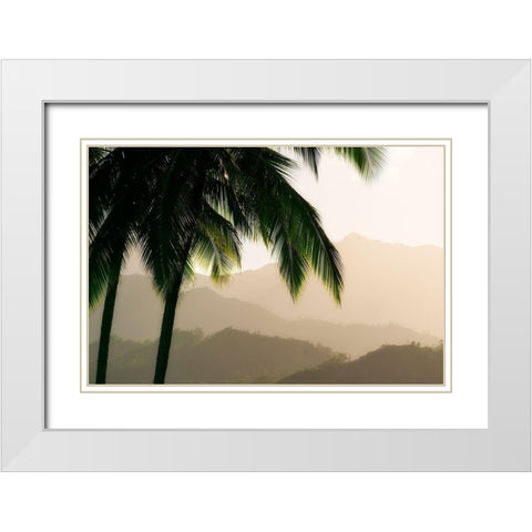 Misty Palms III White Modern Wood Framed Art Print with Double Matting by Frates, Dennis