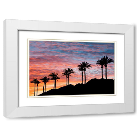 Palm Tree Sunset White Modern Wood Framed Art Print with Double Matting by Frates, Dennis