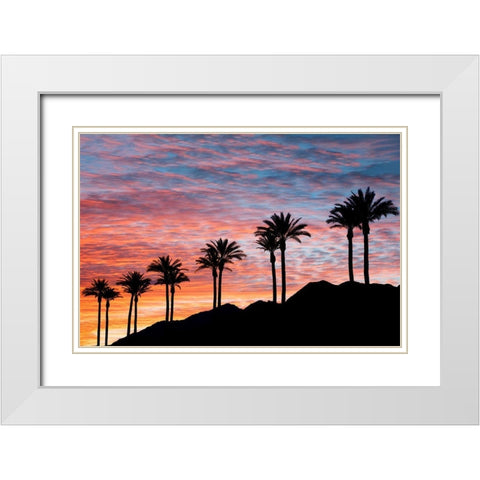 Palm Tree Sunset White Modern Wood Framed Art Print with Double Matting by Frates, Dennis