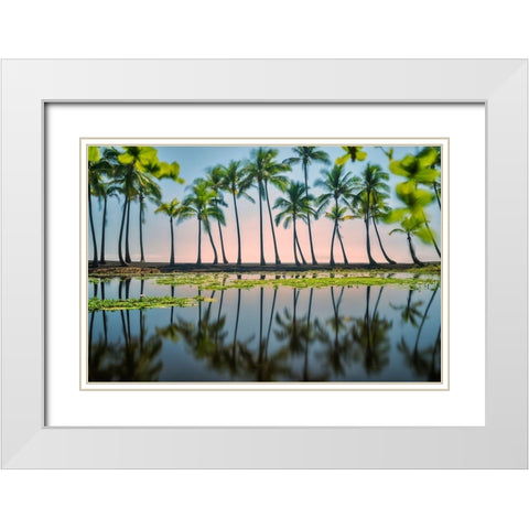 Palm Tree Reflections White Modern Wood Framed Art Print with Double Matting by Frates, Dennis