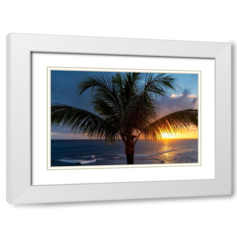 Palm Tree Sunset White Modern Wood Framed Art Print with Double Matting by Frates, Dennis