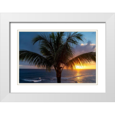 Palm Tree Sunset White Modern Wood Framed Art Print with Double Matting by Frates, Dennis