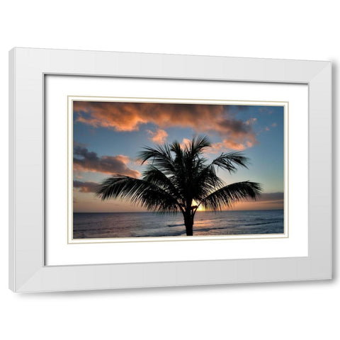 Palm Tree Sunset II White Modern Wood Framed Art Print with Double Matting by Frates, Dennis
