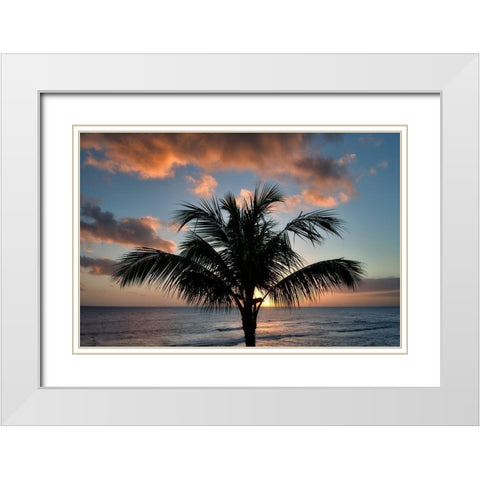 Palm Tree Sunset II White Modern Wood Framed Art Print with Double Matting by Frates, Dennis