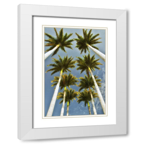 Worms Eye II White Modern Wood Framed Art Print with Double Matting by Frates, Dennis