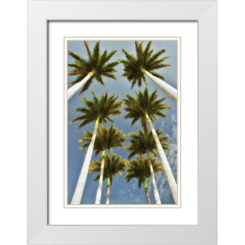 Worms Eye II White Modern Wood Framed Art Print with Double Matting by Frates, Dennis