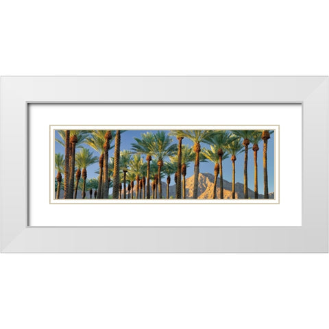 Trees White Modern Wood Framed Art Print with Double Matting by Frates, Dennis