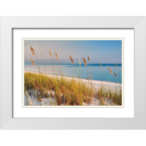 Breezy White Modern Wood Framed Art Print with Double Matting by Frates, Dennis