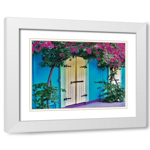 Double Doors White Modern Wood Framed Art Print with Double Matting by Frates, Dennis