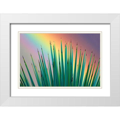Prism Plant White Modern Wood Framed Art Print with Double Matting by Frates, Dennis