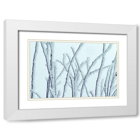 Icy White Modern Wood Framed Art Print with Double Matting by Frates, Dennis