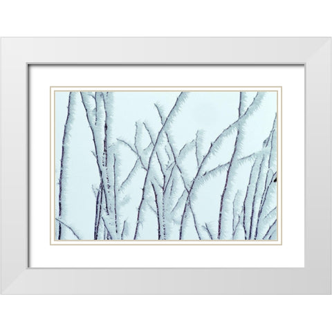 Icy White Modern Wood Framed Art Print with Double Matting by Frates, Dennis