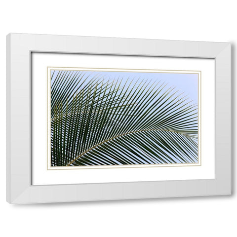 Tropical White Modern Wood Framed Art Print with Double Matting by Frates, Dennis