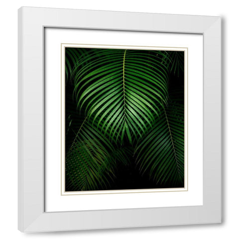 Tropical IV White Modern Wood Framed Art Print with Double Matting by Frates, Dennis
