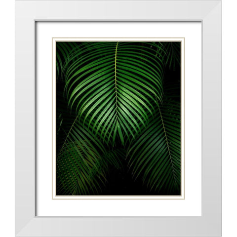 Tropical IV White Modern Wood Framed Art Print with Double Matting by Frates, Dennis