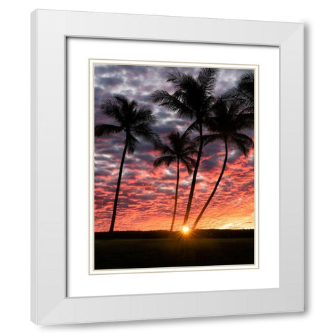 Sunset Silhouette White Modern Wood Framed Art Print with Double Matting by Frates, Dennis