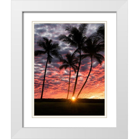 Sunset Silhouette White Modern Wood Framed Art Print with Double Matting by Frates, Dennis