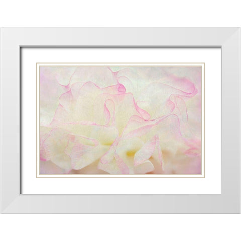 Blush White Modern Wood Framed Art Print with Double Matting by Frates, Dennis