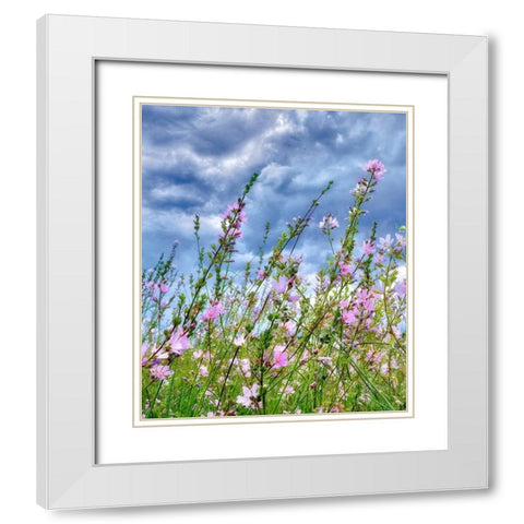 Wild Flowers White Modern Wood Framed Art Print with Double Matting by Frates, Dennis