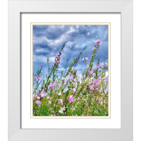 Wild Flowers White Modern Wood Framed Art Print with Double Matting by Frates, Dennis