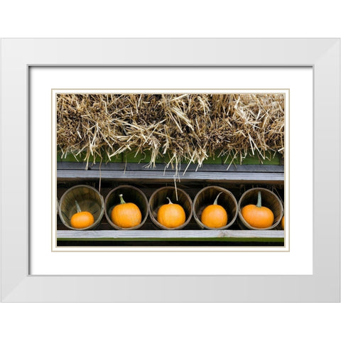 More Pumpkins White Modern Wood Framed Art Print with Double Matting by Frates, Dennis