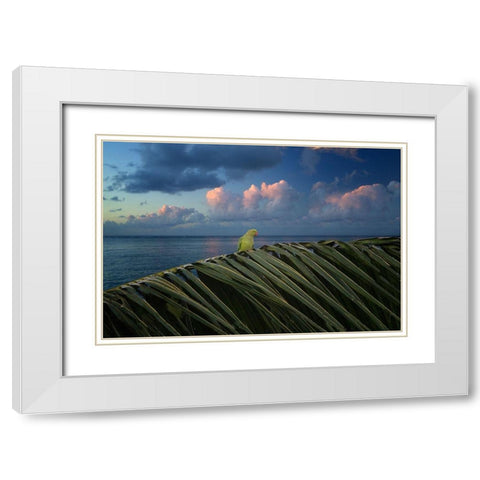 Paulie White Modern Wood Framed Art Print with Double Matting by Frates, Dennis
