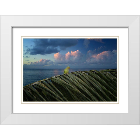 Paulie White Modern Wood Framed Art Print with Double Matting by Frates, Dennis