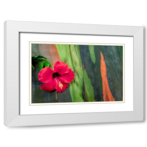 Hibiscus White Modern Wood Framed Art Print with Double Matting by Frates, Dennis