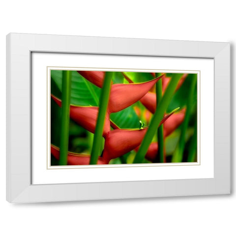Floral Details White Modern Wood Framed Art Print with Double Matting by Frates, Dennis