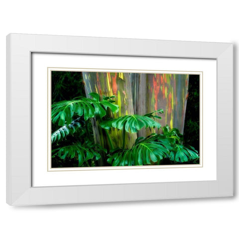 Tropical Leaves White Modern Wood Framed Art Print with Double Matting by Frates, Dennis