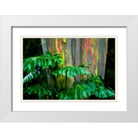 Tropical Leaves White Modern Wood Framed Art Print with Double Matting by Frates, Dennis