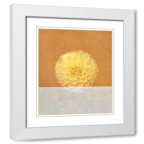 Orange Flower White Modern Wood Framed Art Print with Double Matting by JMB Designs