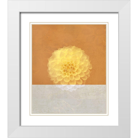 Orange Flower White Modern Wood Framed Art Print with Double Matting by JMB Designs