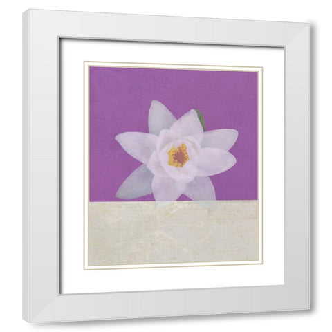 Water Lily White Modern Wood Framed Art Print with Double Matting by JMB Designs